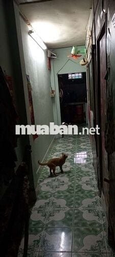 BÁN CĂN NHÀ SHR GÁC LỮNG ĐƯỜNG TRẦN THỊ CỜ P. THỚI AN Q. 12-GIÁ 3,1 TỶ