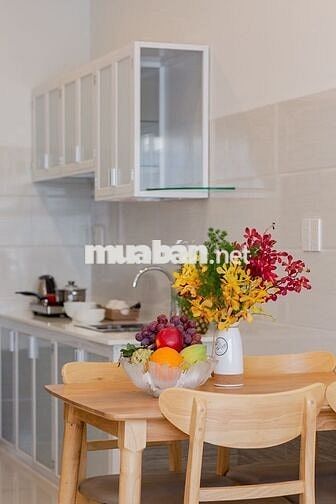 Cho thuê căn hộ đường Trần Cao Vân, Lê Độ giá chỉ 4,3tr full nội thất
