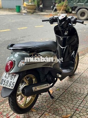 🌈Classico Fino đẹp keng máy siêu êm - CÓ TRẢ GÓP