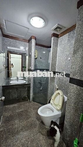 BÁN CĂN HỘ NEW SÀI GÒN - HOÀNG ANH GIA LAI 3