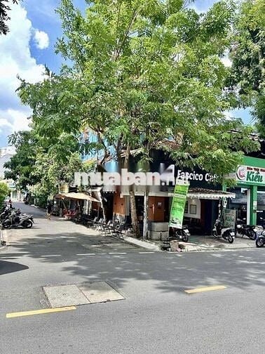 CHO THUÊ NHÀ HIẾM ĐẸP ĐỐI DIỆN RẠP XIẾC MỚI PHÚ THỌ, QUẬN 11.