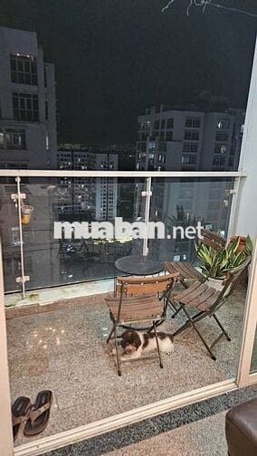 BÁN CĂN HỘ NEW SÀI GÒN - HOÀNG ANH GIA LAI 3