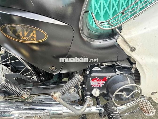 cub 50 cc bstp