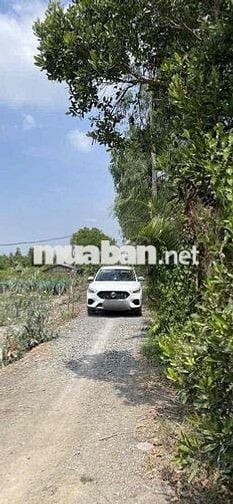 200m Thổ Cư MT Kênh Biện Cung,Đường 7m5