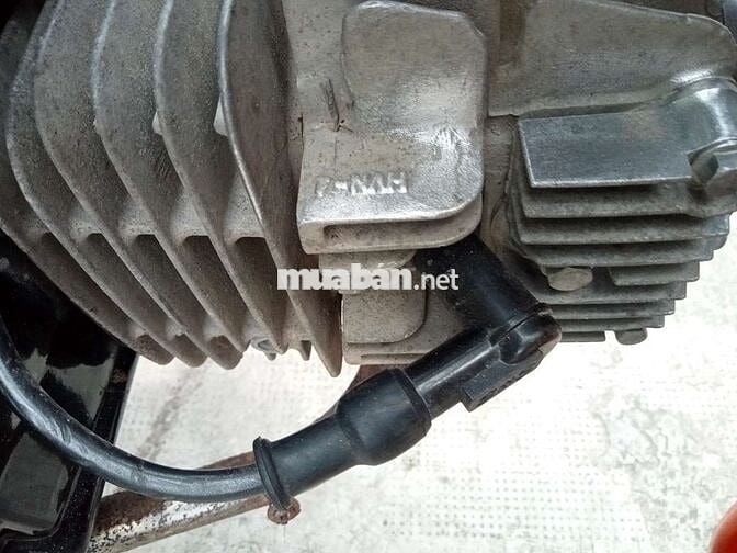 Wave vô đầu lòng anpha nhật rin y hình