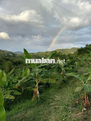 Chị em cần bán gấp lô đất vườn view hồ trị an giá rẻ 733tr tại ĐQ