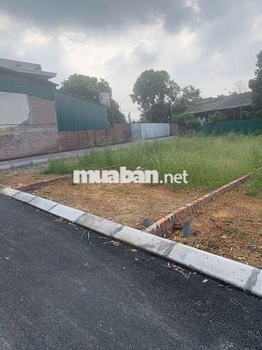 Còn 7 Lô Đất 100-120m Ngay KCN Tam Dương, Vĩnh Phúc, Chỉ 1.x tỷ