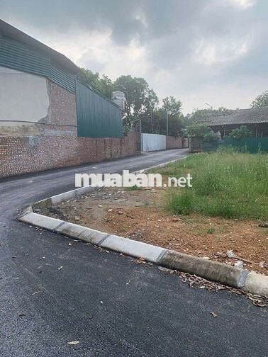 Còn 7 Lô Đất 100-120m Ngay KCN Tam Dương, Vĩnh Phúc, Chỉ 1.x tỷ