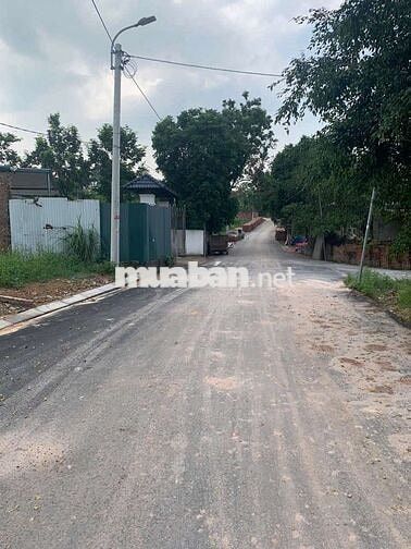 Còn 7 Lô Đất 100-120m Ngay KCN Tam Dương, Vĩnh Phúc, Chỉ 1.x tỷ