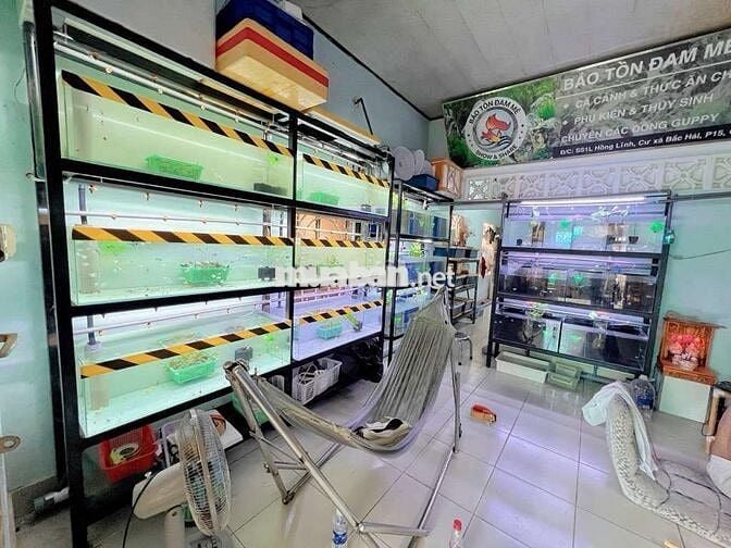 BÁN NHÀ Q12 - XE TẢI THÔNG - DT KHỦNG - GIÁ TỐT