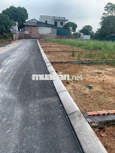 Còn 7 Lô Đất 100-120m Ngay KCN Tam Dương, Vĩnh Phúc, Chỉ 1.x tỷ