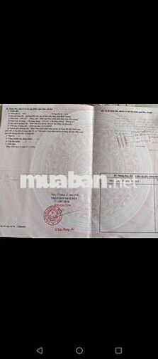 ĐẤT PHÚ MỸ 6x25 MẶT TIỀN KINH DOANH ĐA NGÀNH NGHỀ