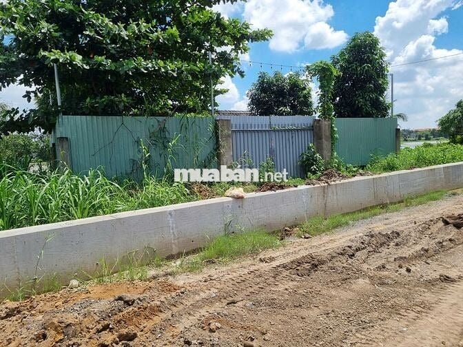 Mặt tiền sông Sài Gòn, 865m2 có 300m2 thổ cư sát KDL Cánh Đồng Hoa