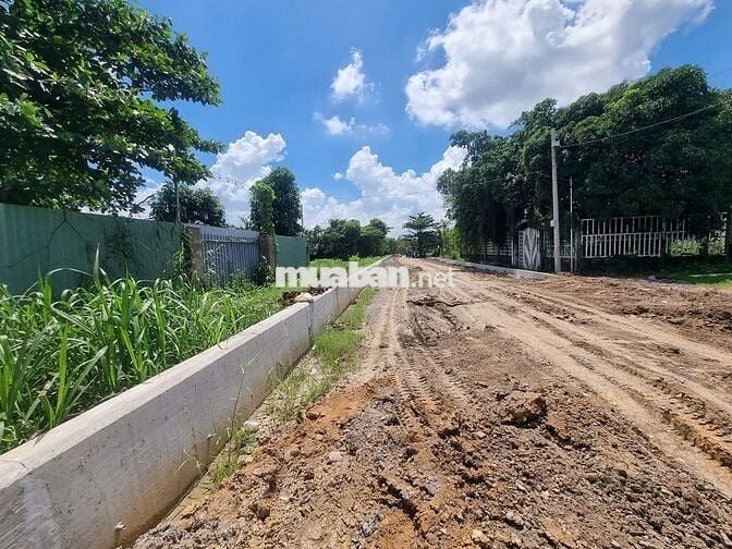 Mặt tiền sông Sài Gòn, 865m2 có 300m2 thổ cư sát KDL Cánh Đồng Hoa