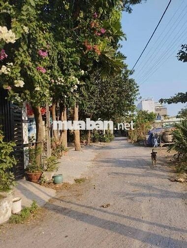 94m2 hẻm xe tải 1 căn 1 đường so 9 linh tay thủ đức. Sát pvd. Chợ td