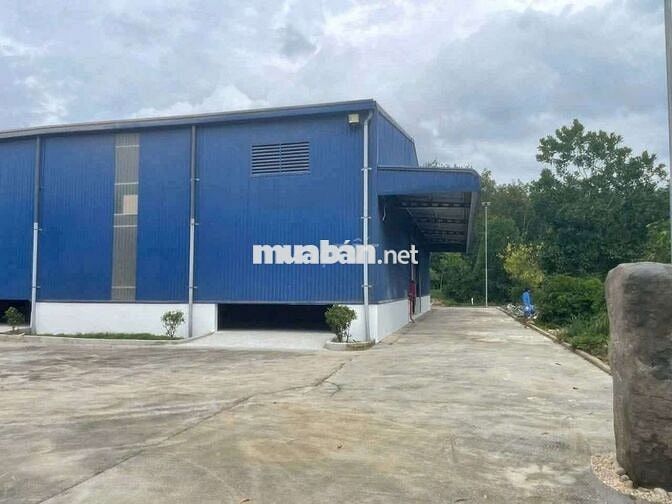 Kho xưởng tiêu chuẩn 6000m, giá 240 triệu, pccc đầy đủ
