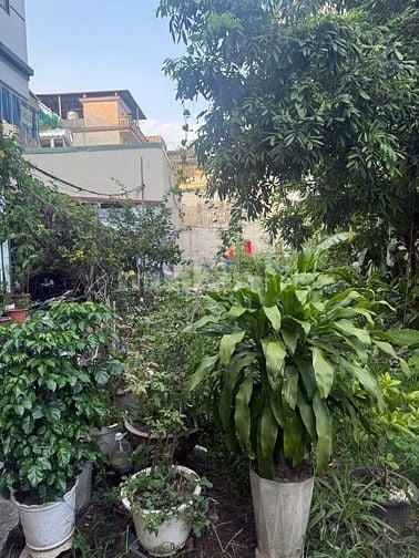 Mảnh đất đẹp ở phố Đông Thiên, Vĩnh Hưng (SĐCC)