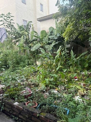 Mảnh đất đẹp ở phố Đông Thiên, Vĩnh Hưng (SĐCC)