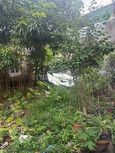 Mảnh đất đẹp ở phố Đông Thiên, Vĩnh Hưng (SĐCC)