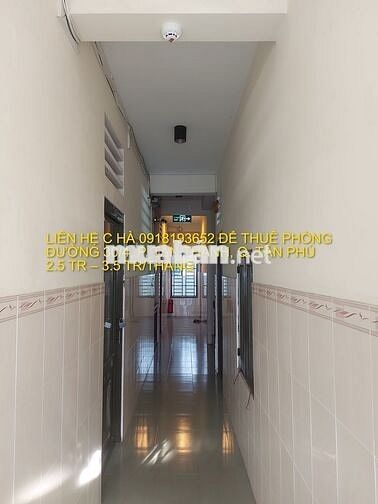 📢 🏡 PHÒNG TRỌ CHO DÂN VĂN PHÒNG & NGƯỜI ĐI LÀM – QUẬN TÂN PHÚ 🏡