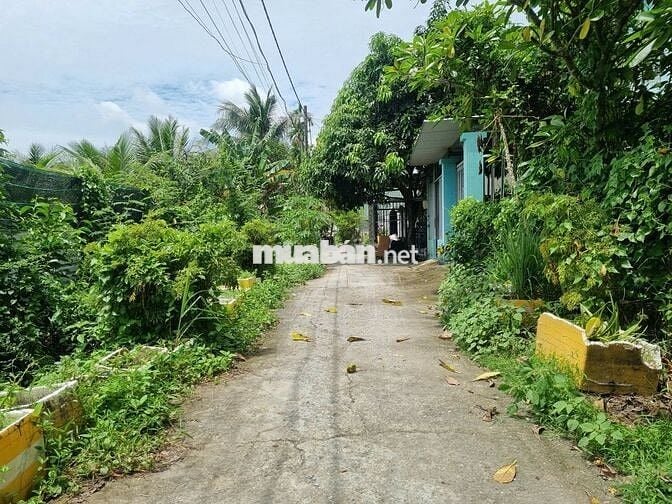 Đất 2000m2 có 1677m2 thổ cư, 1 xẹt Nhị Bình 2 đường oto giá siêu rẻ