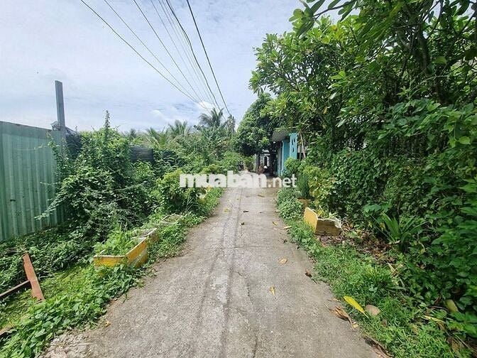 Đất 2000m2 có 1677m2 thổ cư, 1 xẹt Nhị Bình 2 đường oto giá siêu rẻ