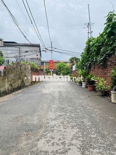 ĐẤT PHÂN LÔ ÔTÔ CHẠY VÒNG QUANH