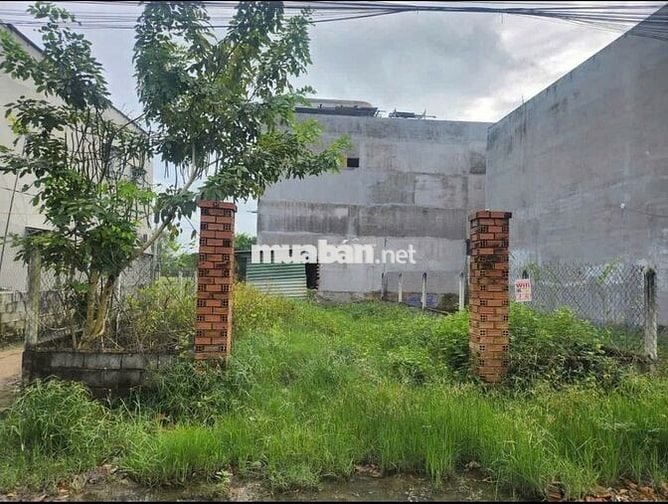 BÁN ĐẤT: 5x26 thổ cư toàn bộ - 1/ Hồ Văn Tắng - Tân Phú Trung - SHR