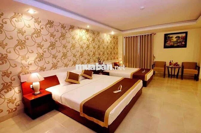 Chính chủ cho thuê phòng khách sạn Giá rẻ tttp Nha Trang