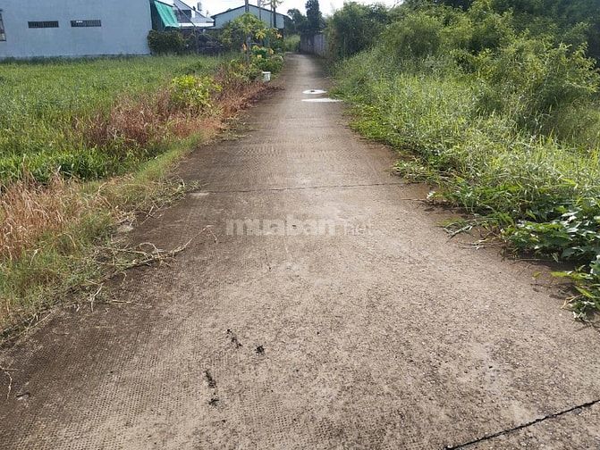 Bán lô đất thổ cư 877,9m2 mặt tiền Nguyễn Trần Văn Ngà, TP.Tân An