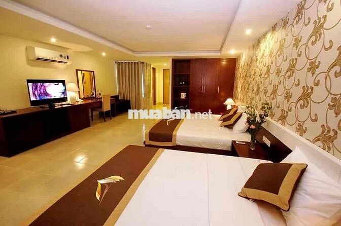 Chính chủ cho thuê phòng khách sạn Giá rẻ tttp Nha Trang