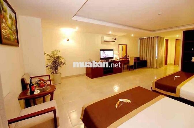Chính chủ cho thuê phòng khách sạn Giá rẻ tttp Nha Trang