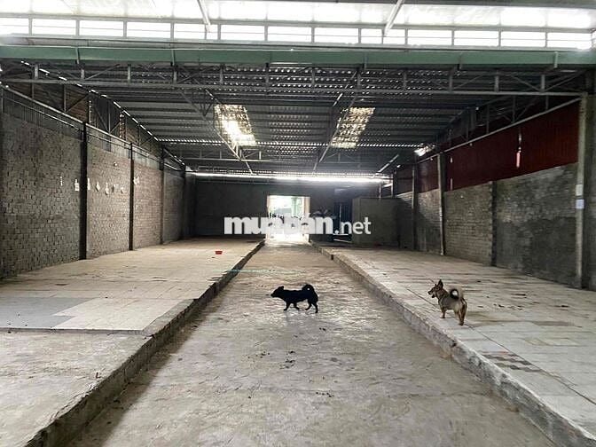 cho thuê kho xưởng diện tích 900m2 giá rẻ