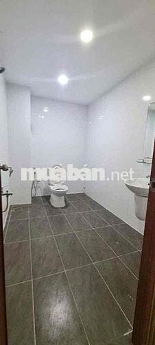 Cho Thuê Căn Hộ 1pn Tách Bếp Ban Công Full NT Ngay Lê Hồng Phong Q10