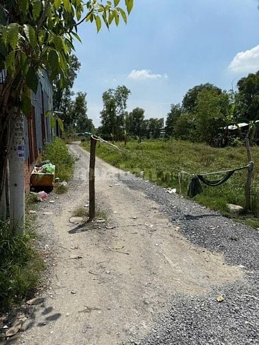 Chính chủ bán lô đất trồng cây, đường Lò Lu - Quận 9, 2565m2, 12tr/m2