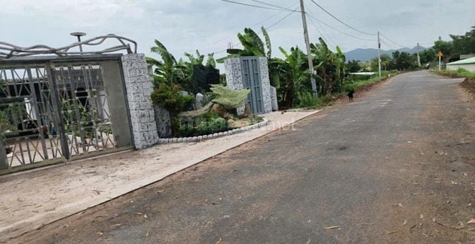  BÁN ĐẤT THỊ TRẤN PHƯỚC HẢI - GẦN BIỂN PHƯỚC HẢI 1,5 TỶ