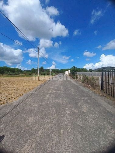  BÁN ĐẤT THỊ TRẤN PHƯỚC HẢI - GẦN BIỂN PHƯỚC HẢI 1,5 TỶ