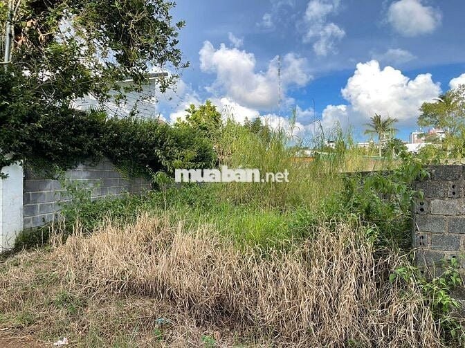 ĐẤT BẢO LỘC TRUNG TÂM ĐƯỜNG HỒ TÙNG MẬU PHƯỜNG 1 DT 174M2 SẴN 100 TC