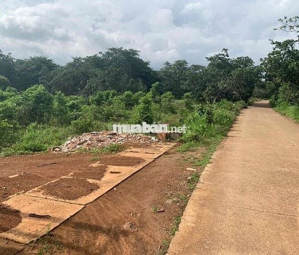 🌟 BÁN ĐẤT DỰ ÁN KDC PHƯỚC BÌNH INVEST – XÃ PHƯỚC BÌNH, LONG THÀNH, ĐỒN