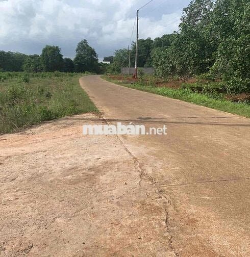 🌟 BÁN ĐẤT DỰ ÁN KDC ĐIỀN TÂM THỊNH – XÃ PHƯỚC BÌNH, LONG THÀNH, ĐỒNG N