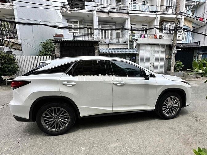 Lexus RX 2022 300 - 29000 km