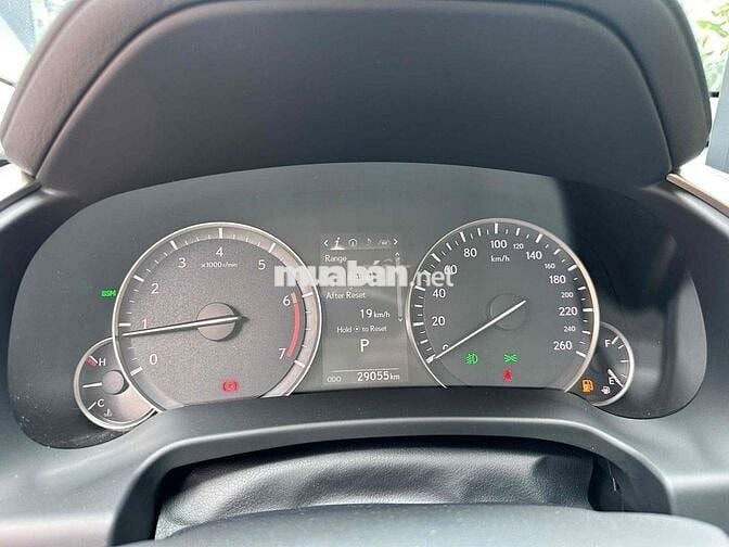 Lexus RX 2022 300 - 29000 km