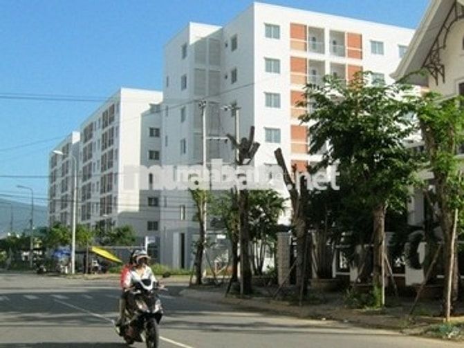 Bán Đất Đường Trần Quý Hai, Cẩm Lệ, Đà Nẵng