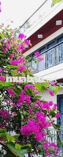 🛑NHÀ SÁT MẶT TIỀN, 4 TẦNG, MỚI ĐẸP ( 5.5 x8m)