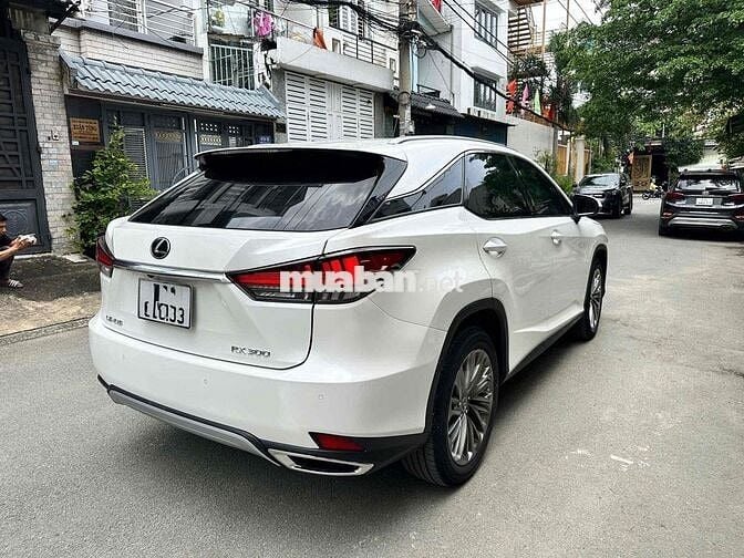 Lexus RX 2022 300 - 29000 km