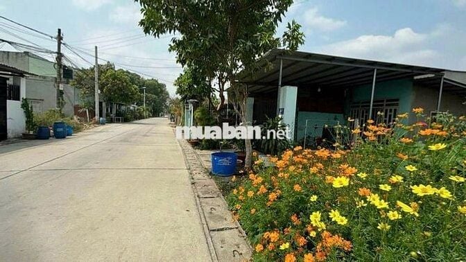 700Tr Bán đất 188m2 ( 5x37) cách BX Củ Chi- chủ cần tiền gấp trả nợ