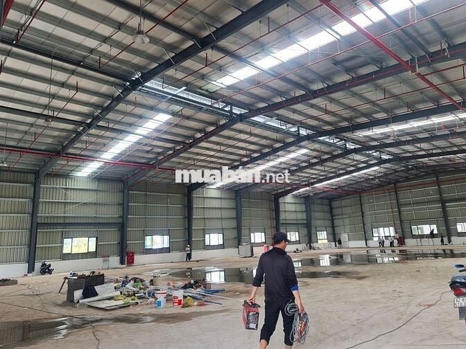 CHO THUÊ KHO XƯỞNG ĐẸP 3000m² TẠI QUẬN 12 GIÁ TỐT CHỈ 80K/m²