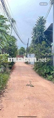 Chuyển nhượng cơ hội sinh lời với đất 2 mặt tiền xã Bàu Cạn Long Thành