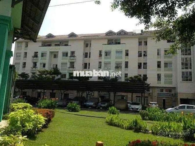 BÁN CĂN HỘ CHUNG CƯ CO THANG MAY AN HOÀ 6 – QUẬN 7, TP.HCM 🏢✨