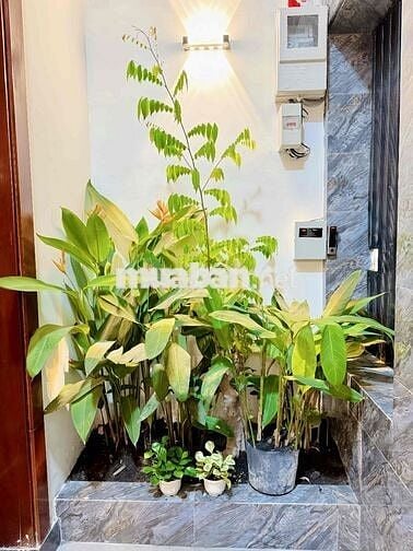 CC cần bán CHDV siêu dòng tiền 1tỏi2 năm ACE MG chạy dùm hh200tr (MQC)